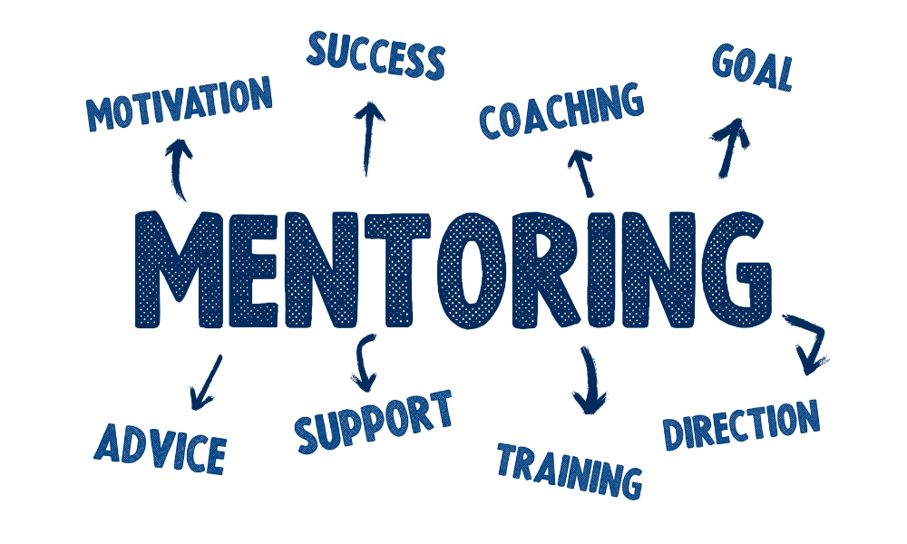 Mentorship and Training Programs