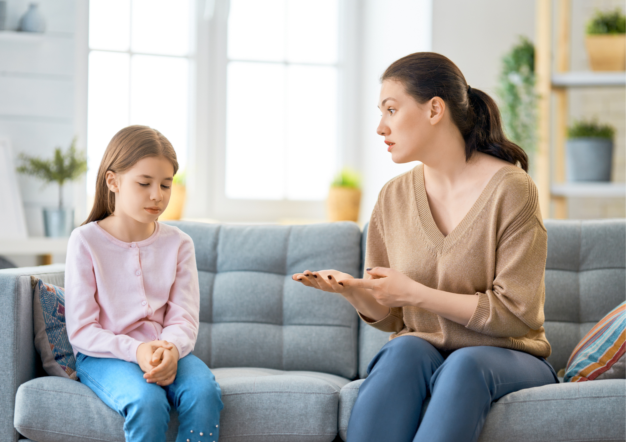 Types of Academic Discipline Followed